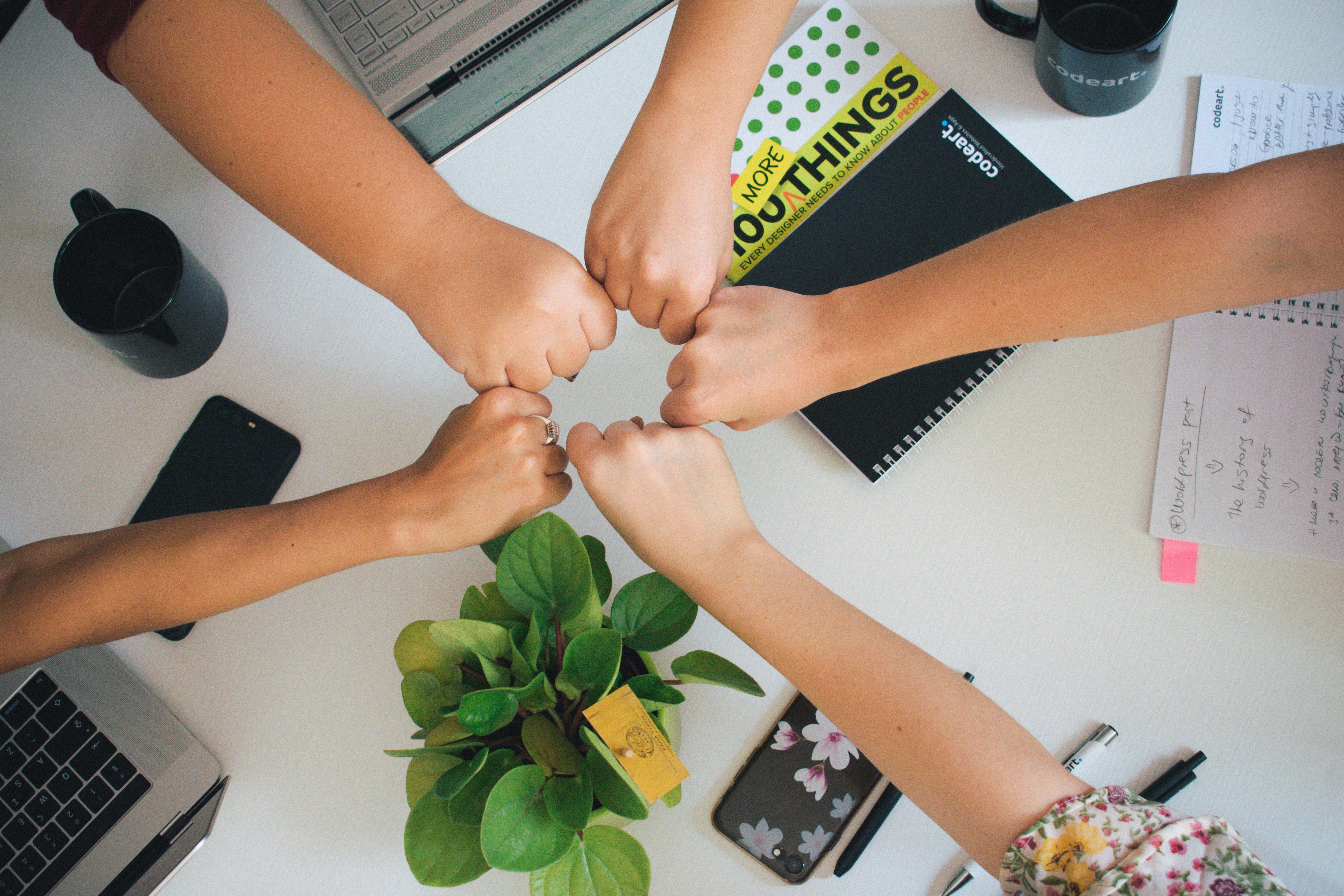 Five hands meeting in a fist bump over a desk with laptops, notebooks and a potted plant